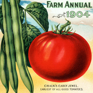 Seed Catalogs Vegetables