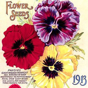 Flowers Seed Catalogs