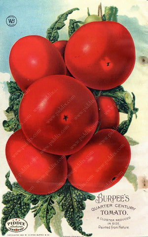 Pdxc1484 -- Fruit & Vegetable Seed Catalogs Color Illustration