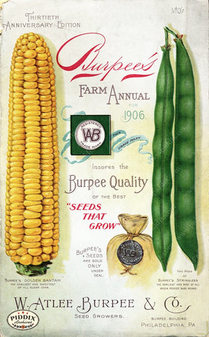 Pdxc1486 -- Fruit & Vegetable Seed Catalogs Color Illustration