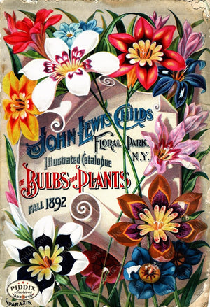 Pdxc1507 -- Flower Seed Catalogs Color Illustration
