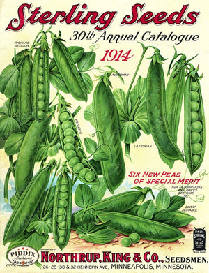 PDXC1561 -- Fruit & Vegetable Seed Catalogs Color Illustration