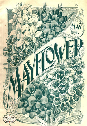 Pdxc1565 -- Flower Seed Catalogs Color Illustration