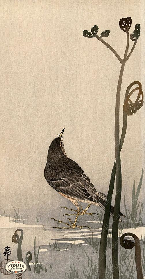 PDXC19530 -- Japanese Bird and Plants - piddix