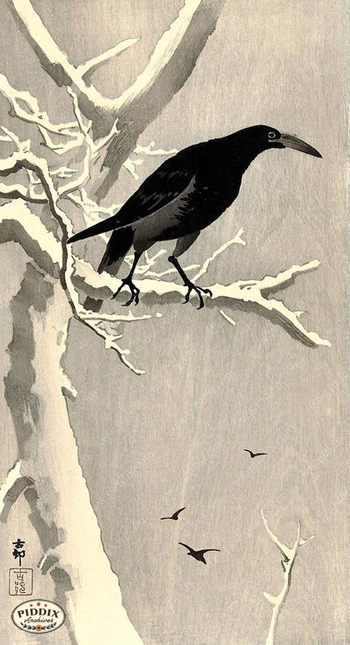 PDXC19574-- Japanese Raven and Snow - piddix
