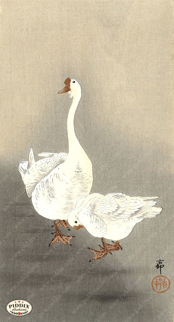 PDXC19591-- Japanese Geese - piddix