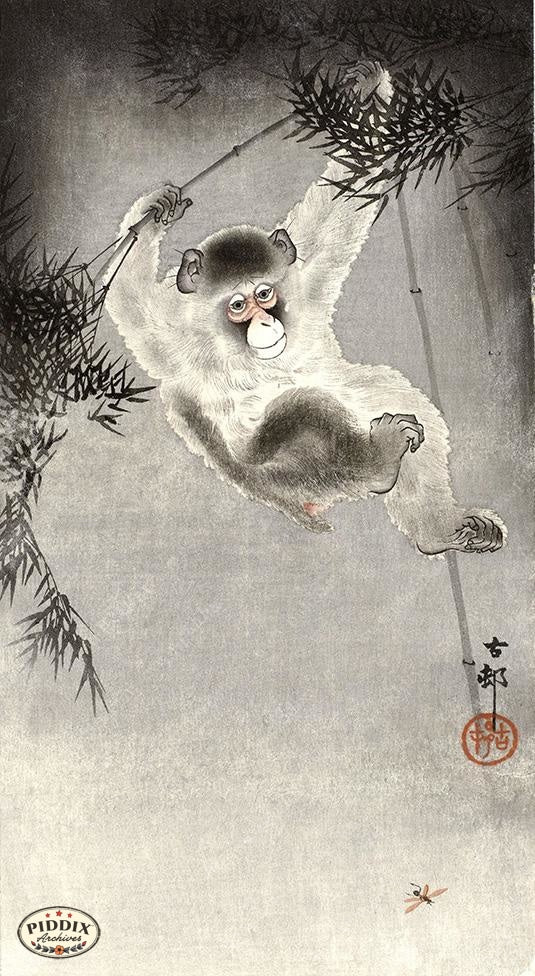 PDXC19664 -- Japanese Swinging Monkey - piddix