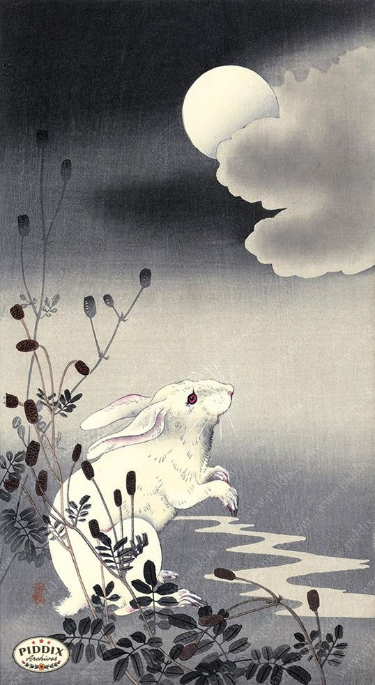PDXC19709 -- Japanese Rabbit and Moon - piddix