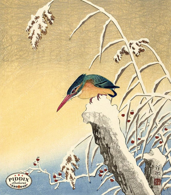 絵画J・HOOK KINGFISHER IN AN EXOTTC GARDEN 絵画J・HOOK KINGFISHER IN AN EXOTTC GARDEN 【公式通販】