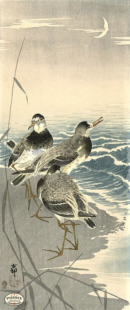 堅実な究極の PDXC19736 -- Japanese Birds and Water - piddix 版画