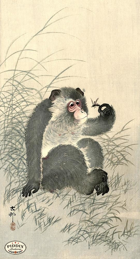 PDXC19761 -- Japanese Monkey and Grass - piddix