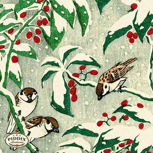Pdxc19763 -- Birds On Snowy Branch