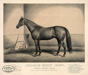 Pdxc21046 -- Horse Jerome Eddy Original Art
