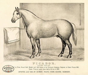 Pdxc21052 -- Horse Picador Original Art