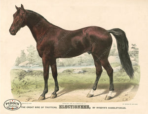 Pdxc21056 -- Horse Electioneer Original Art