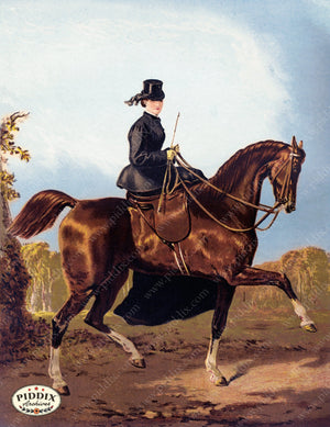 Pdxc3602 -- Horse And Side Saddle Rider Original Art