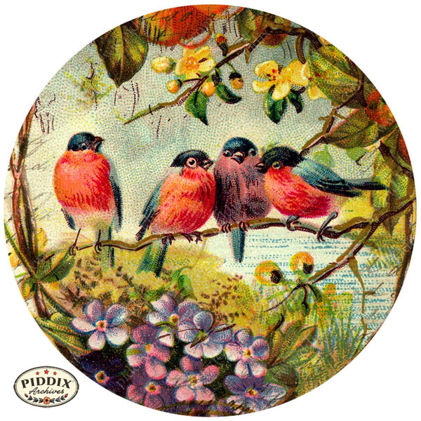 PDXC5111a, b & c -- Flora & Fauna - piddix