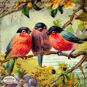 Pdxc5111A B & C -- Flora Fauna Original Collage