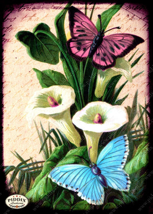 Pdxc5143 -- Flora & Fauna Original Collage