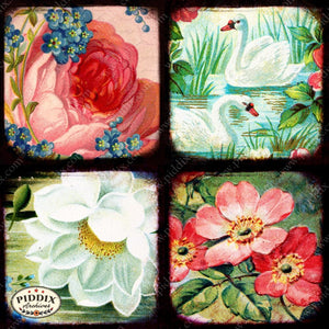Pdxc5150A -- Flora & Fauna Original Collage