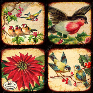 Pdxc5160A -- Flora & Fauna Original Collage