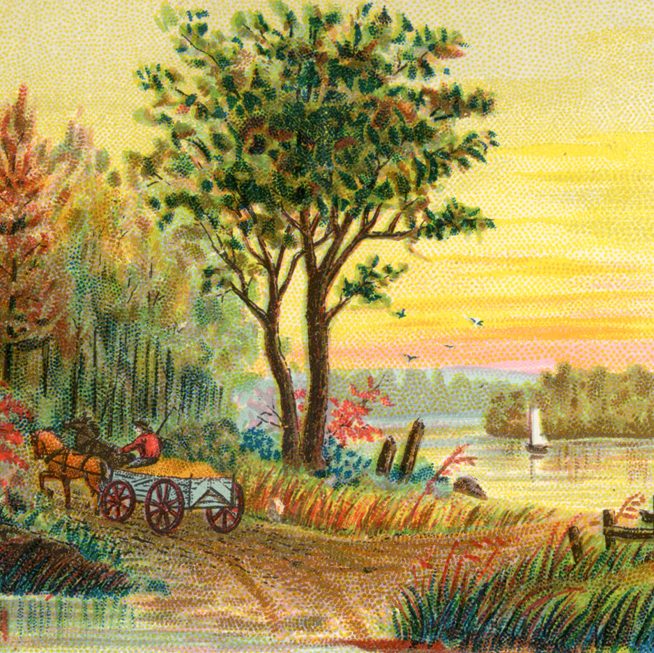 Landscapes