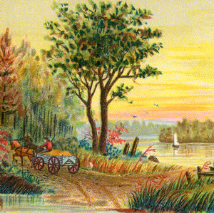 Landscapes