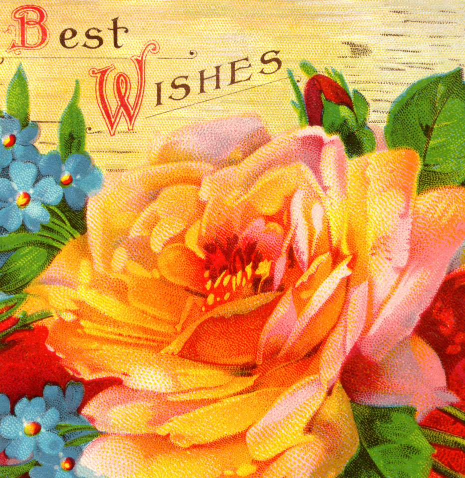 Flowers: Cards