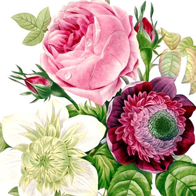 Flower Bouquets White Backgrounds