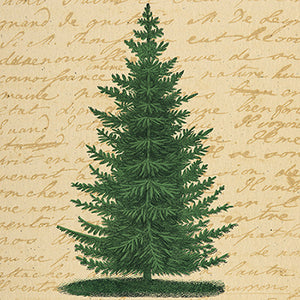 Trees
