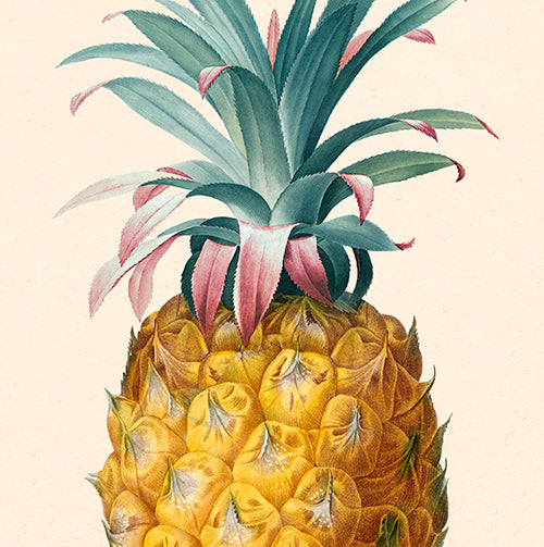 Pineapples