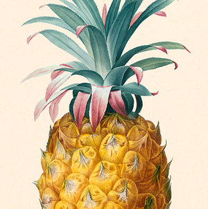 Pineapples