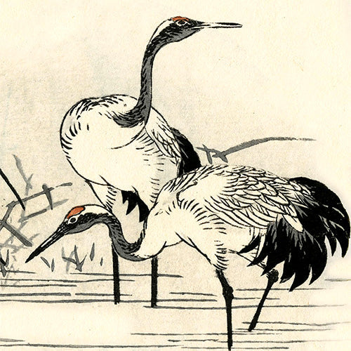 Bird Woodblocks