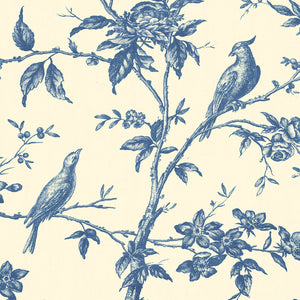 Toile