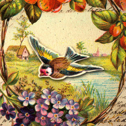 Flora & Fauna