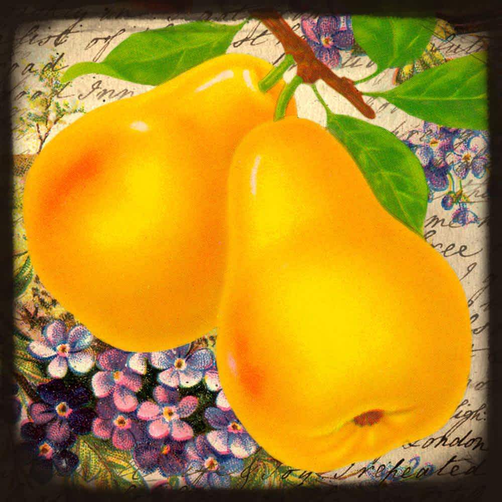 Fruit