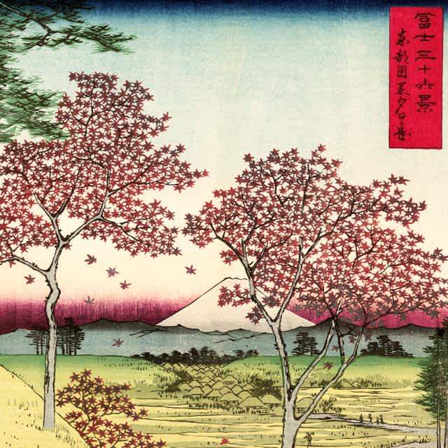 Japanese Woodblocks