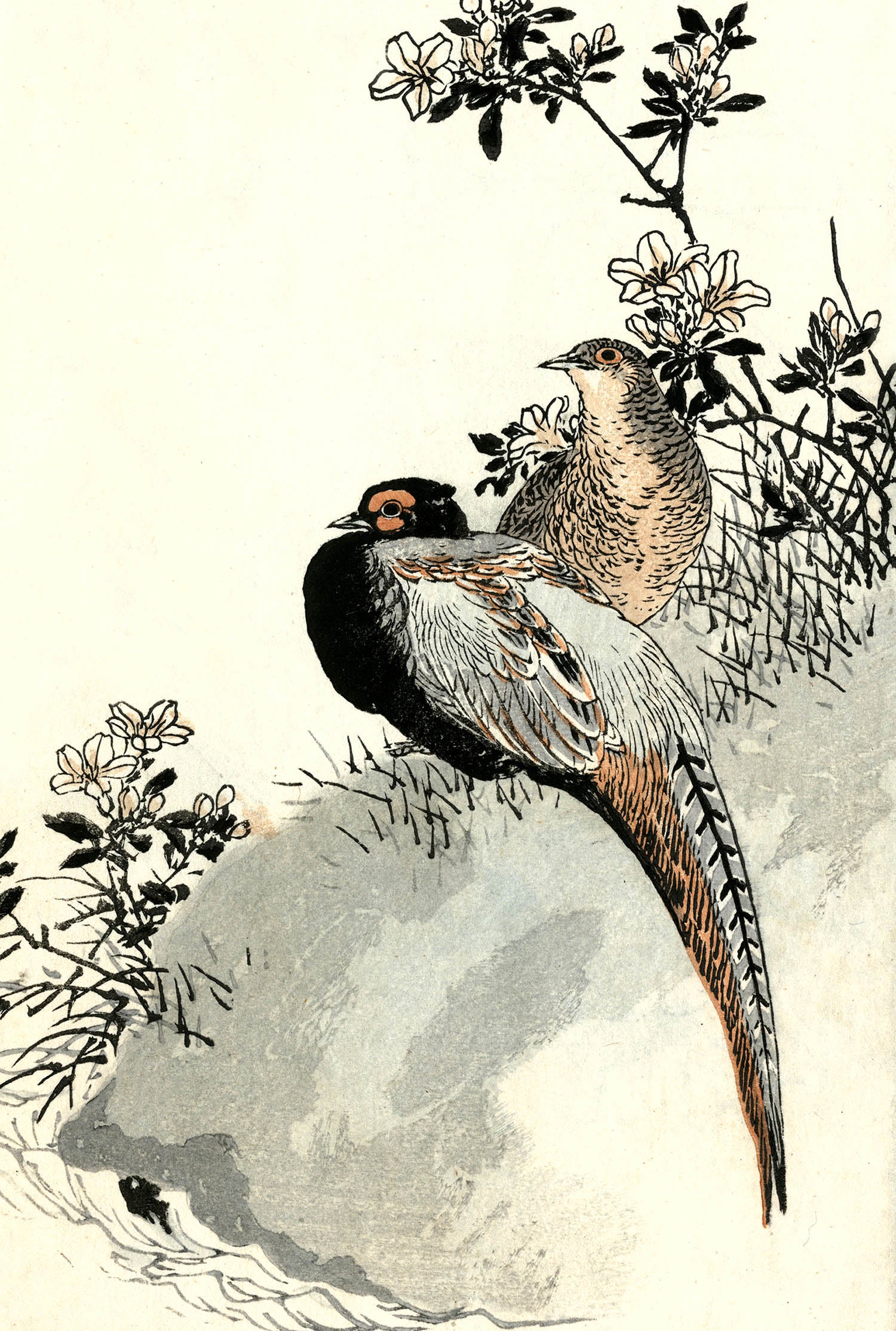 PDXC23689 Birds -- Bird Woodblocks