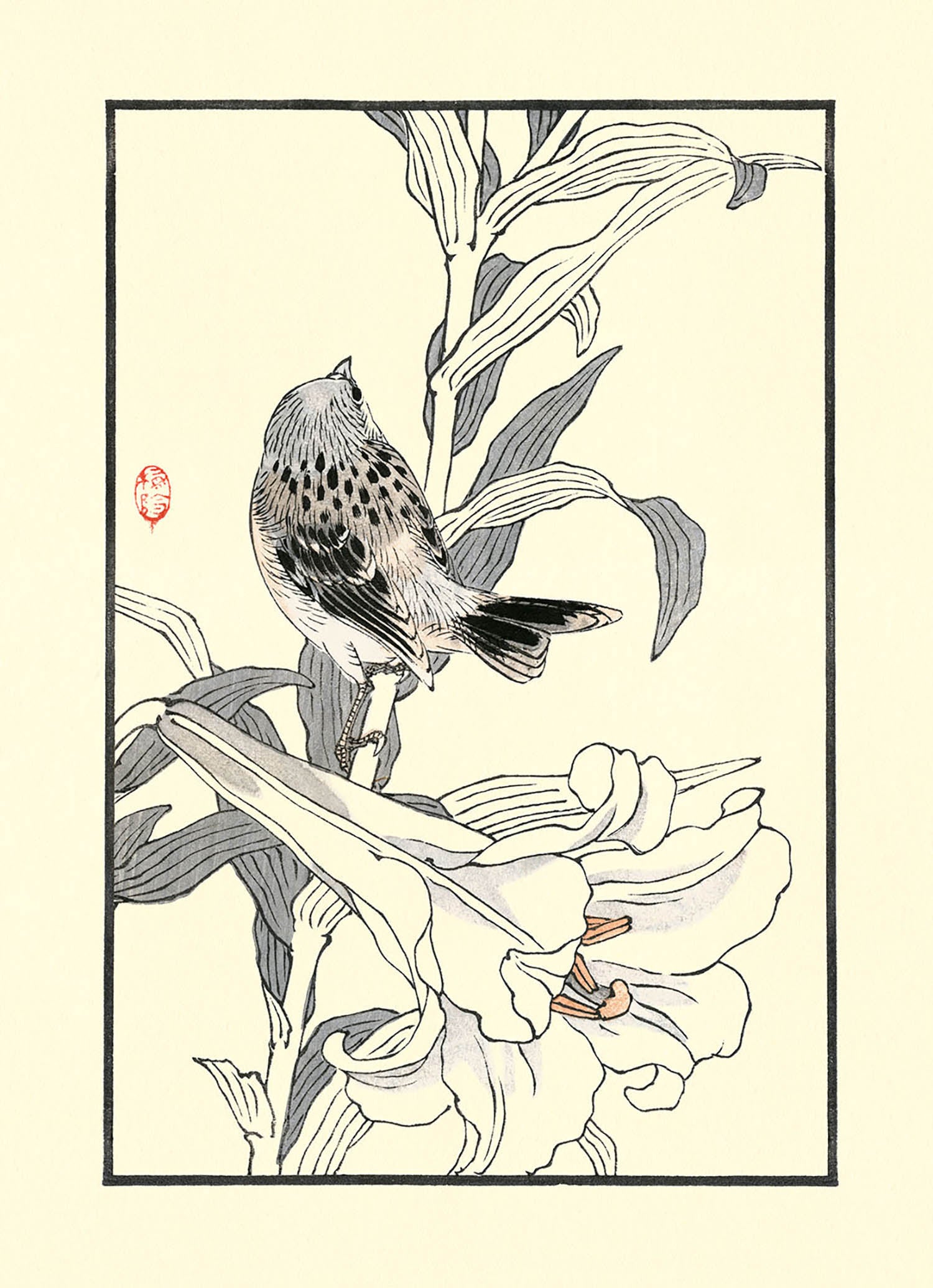 PDXC23690 Birds -- Bird Woodblocks