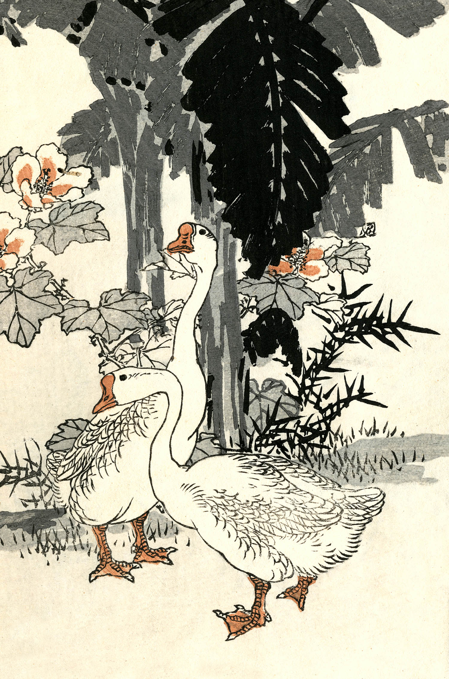PDXC23691 Birds -- Bird Woodblocks