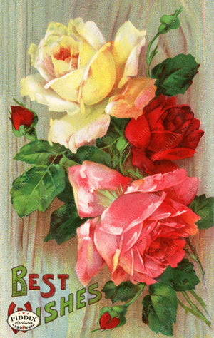 Pdxc10893 -- Flower Cards Roses Best Wishes Color Illustration