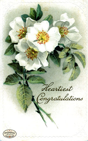 Pdxc10896 -- Flower Cards Roses Congratulations Color Illustration