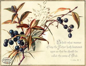 Pdxc10941 -- Flower Cards Religious Color Illustration
