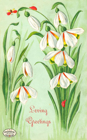 Pdxc10945 -- Flower Cards Snowdrop Loving Greetings Color Illustration