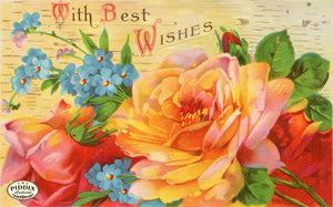 Pdxc11267 -- Flower Cards Roses Best Wishes Color Illustration