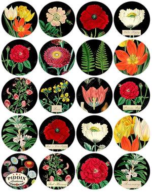 Pdxc1135 -- Original Flower Collage Circles