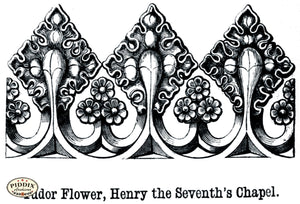 Pdxc11492 -- Architecture Engravings Tudor Flower Black & White Engraving