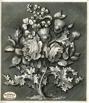 Pdxc16567 -- Flowers Black And White Engravings Color Illustration