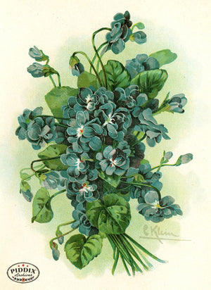 Pdxc19219 -- Flower Cards Violets Color Illustration