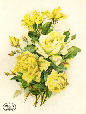 Pdxc19225 -- Flower Cards Yellow Roses Color Illustration